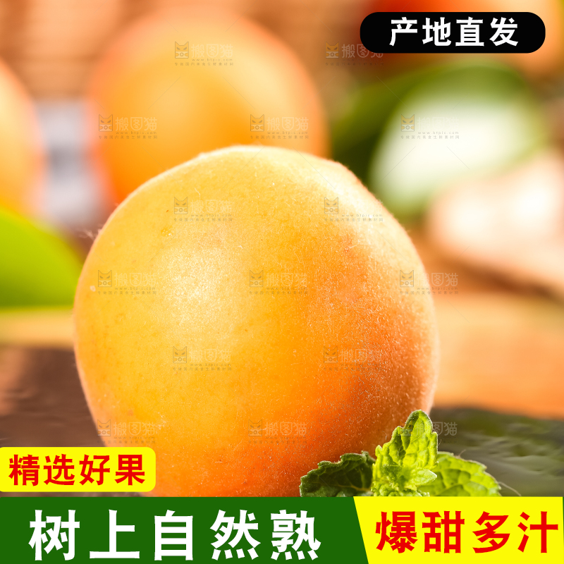 深底上放着黄杏