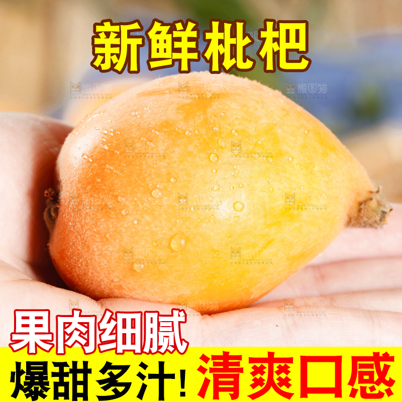 手里拿着高山枇杷