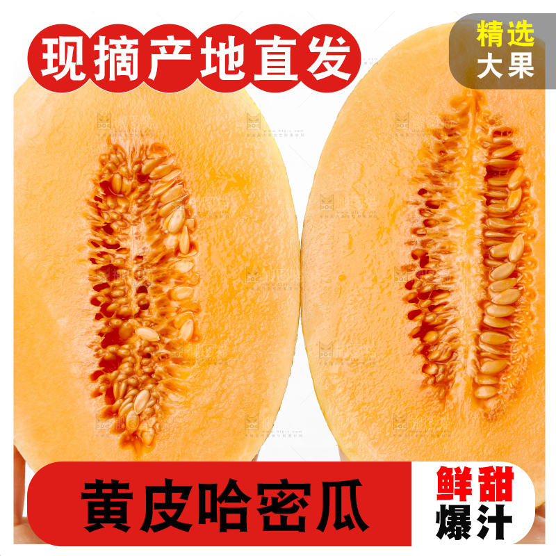 手里拿着新疆黄皮哈密瓜