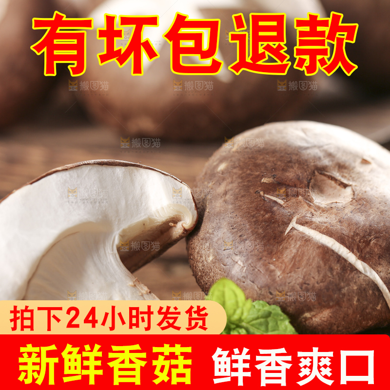 木底上摆放着香菇