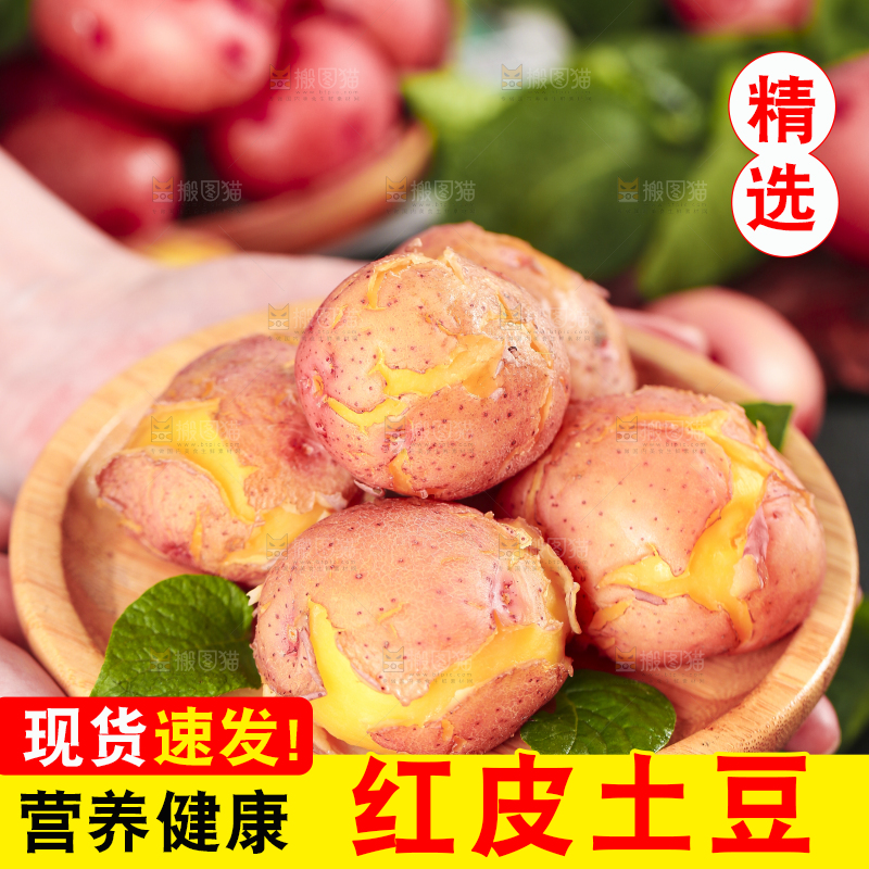 手里拿着红皮黄心土豆