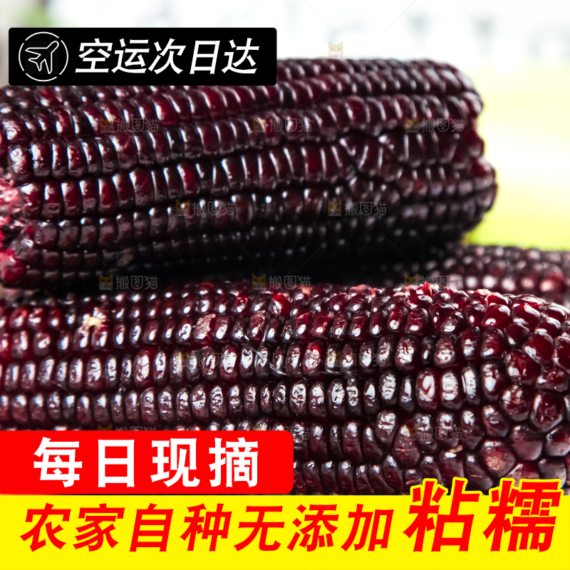 木底上放着东北黑玉米