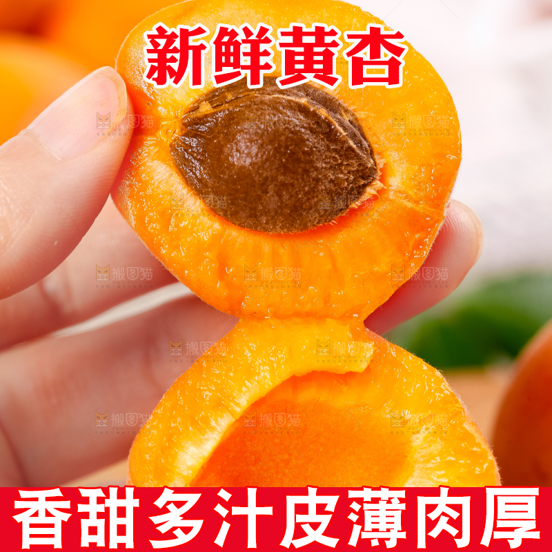 手里拿着黄杏