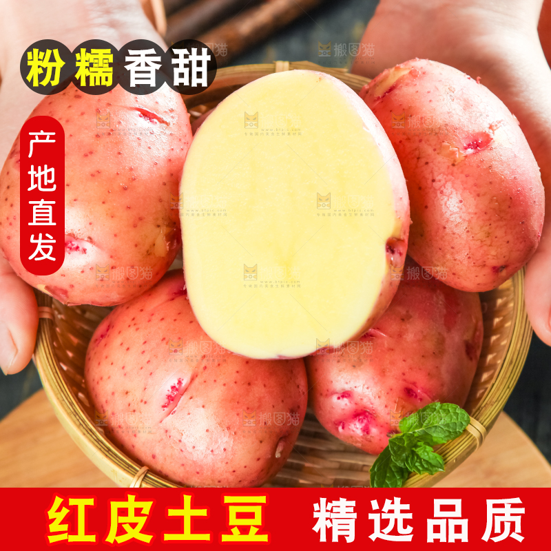 手里捧着一篮云南红皮土豆