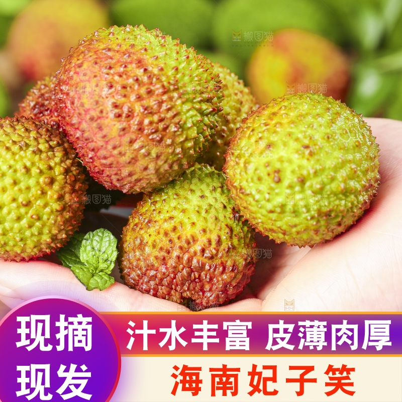 手捧着妃子笑荔枝