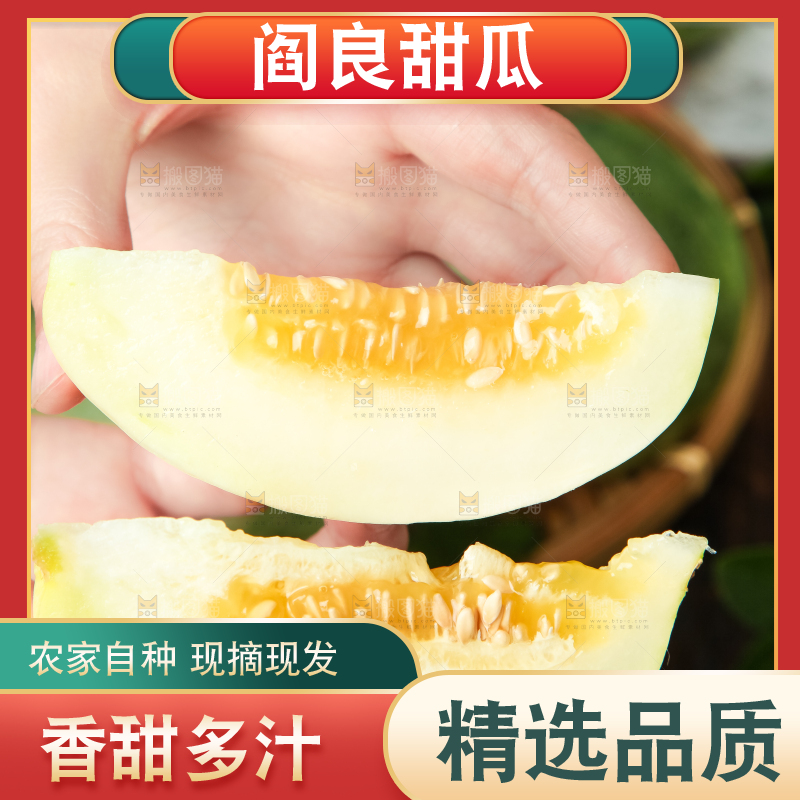 手里拿着阎良甜瓜