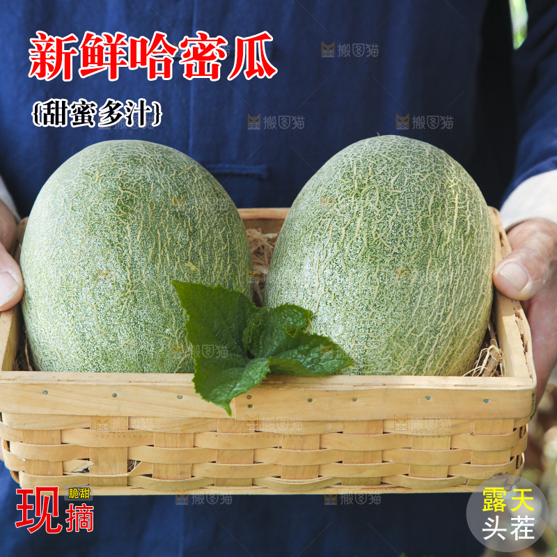 哈密瓜主图