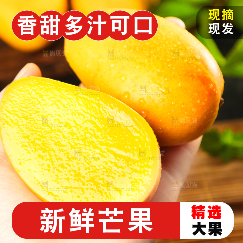 手里拿着台农芒果