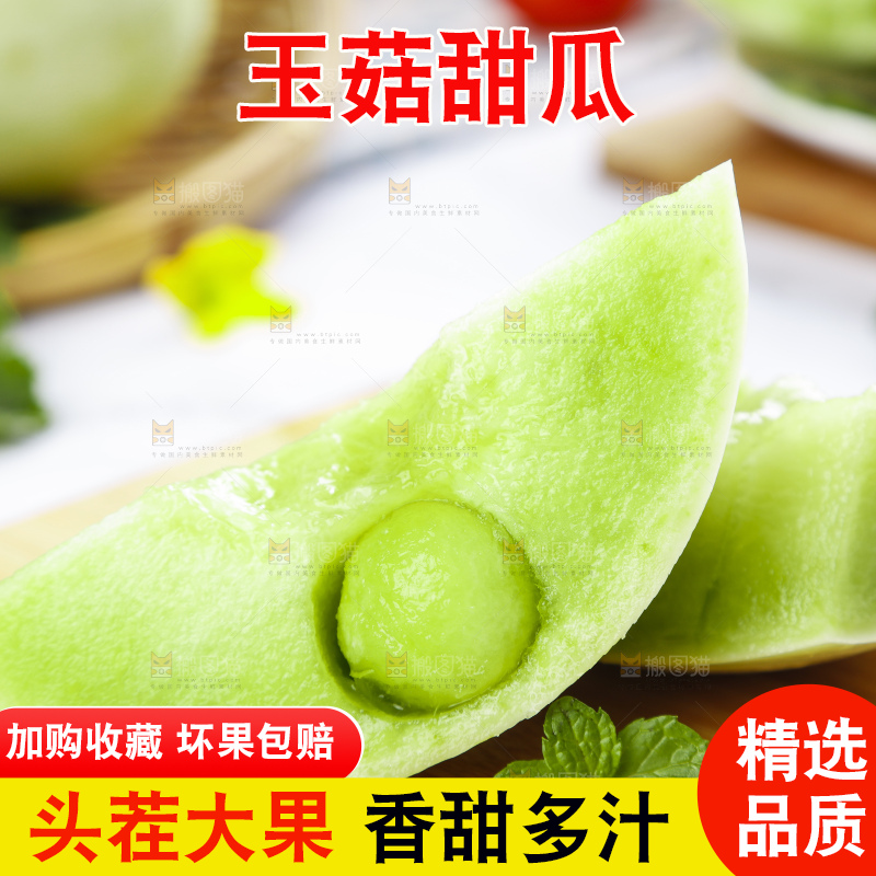 木底上摆放着山东玉菇甜瓜