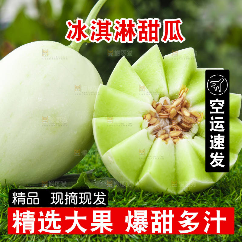 绿草地上摆放着玉菇甜瓜
