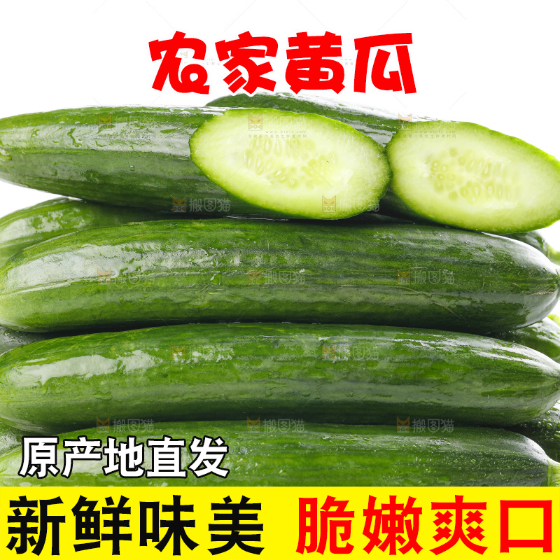 白底上摆放着嫩黄瓜