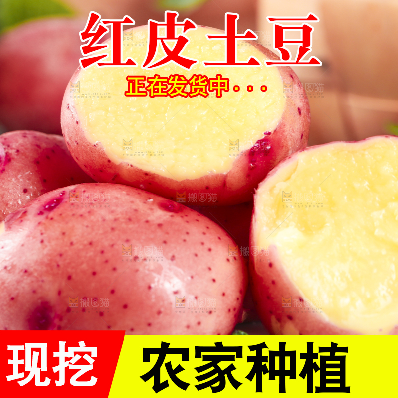 白底上放着高山红皮土豆