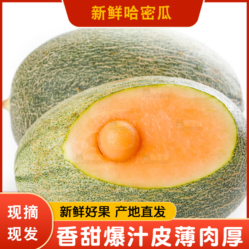 白底上摆放着网纹瓜