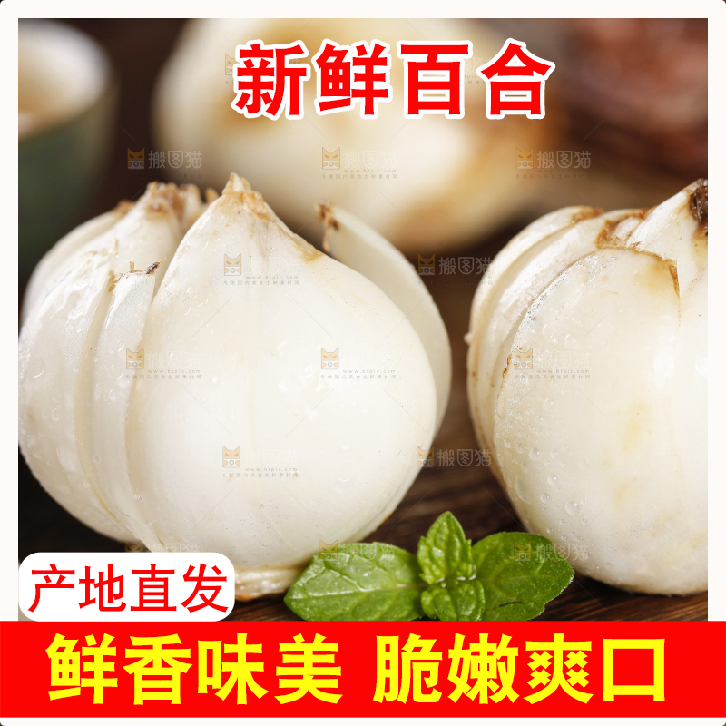 木底上摆放着兰州百合