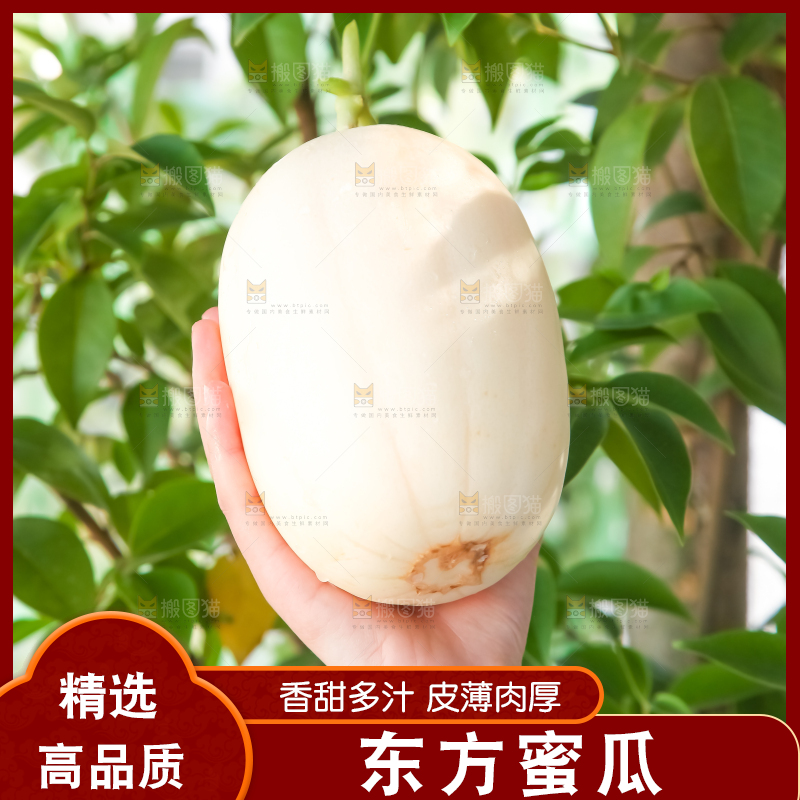 手里拿着东方蜜甜瓜