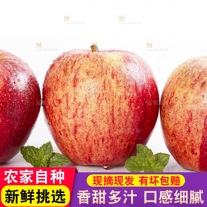 白底上放着秦冠苹果