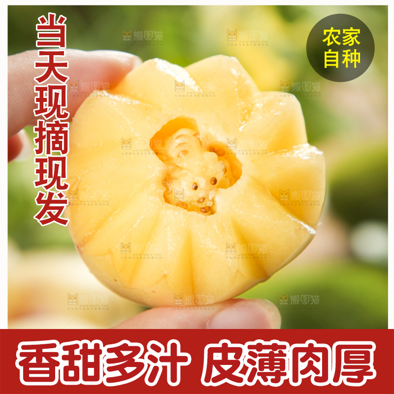 手里拿着人参圆果