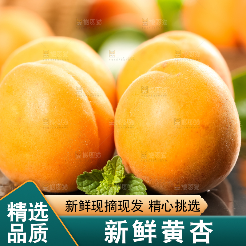 深底上放着黄杏