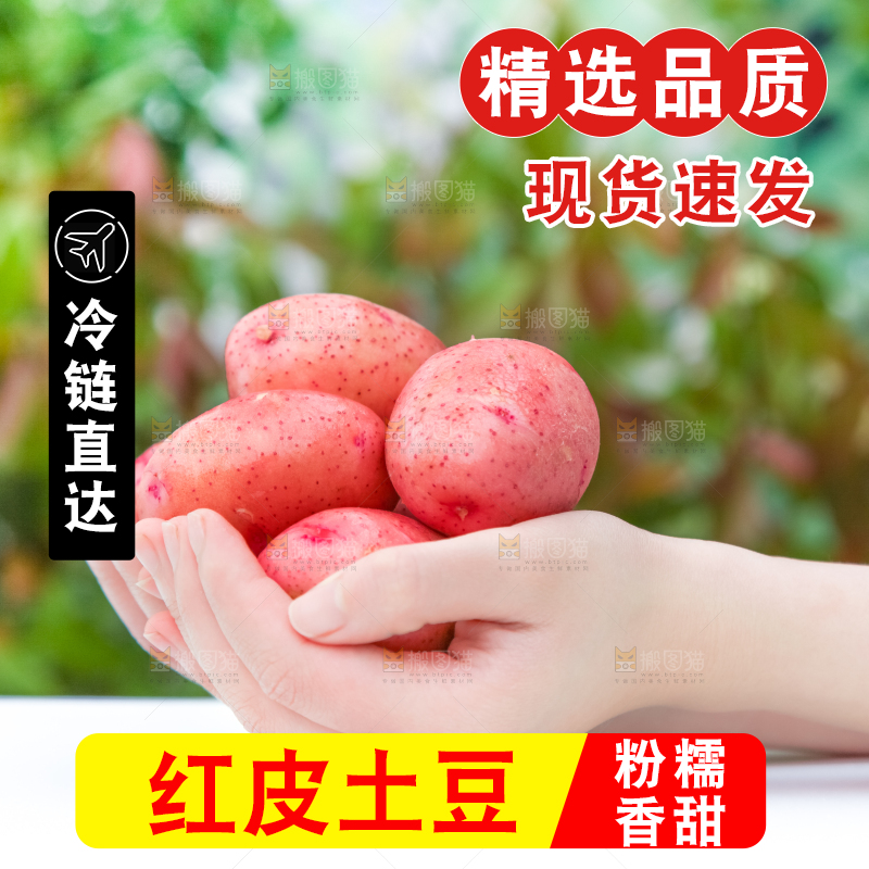 手里拿着土豆