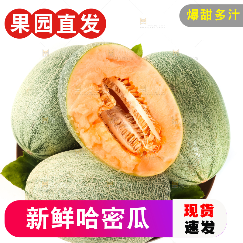 哈密瓜主图