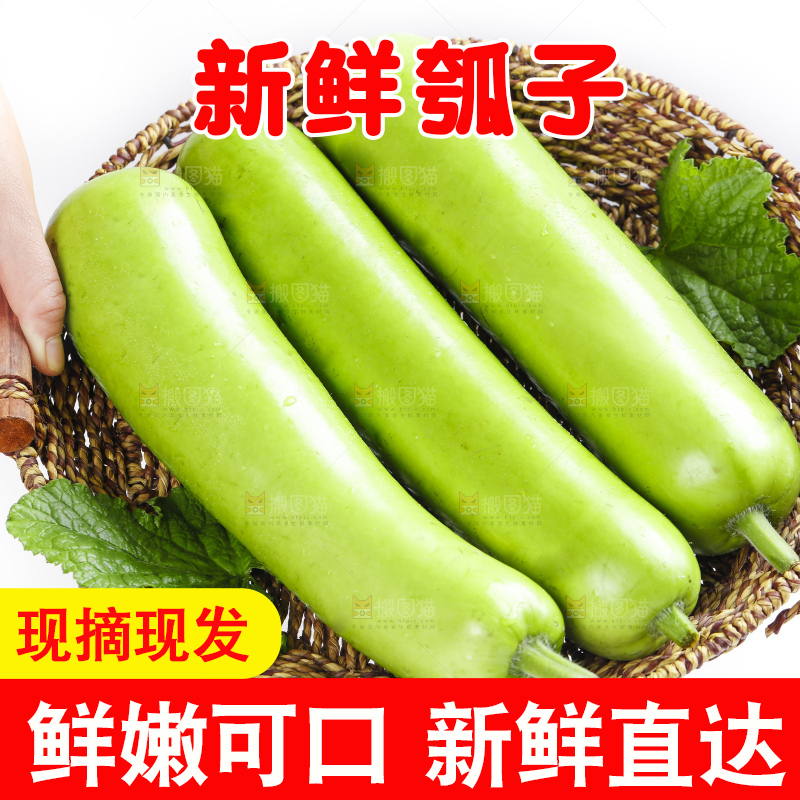 篮子里放着瓠子