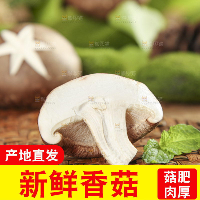 木底上摆放着新鲜香菇