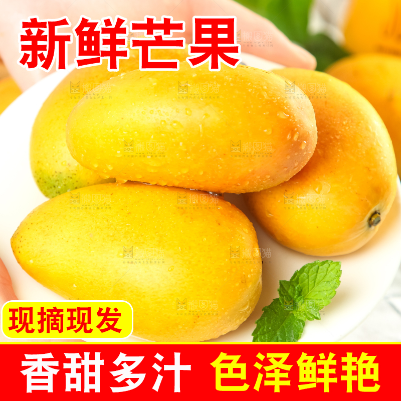 手里端着海南台农芒果