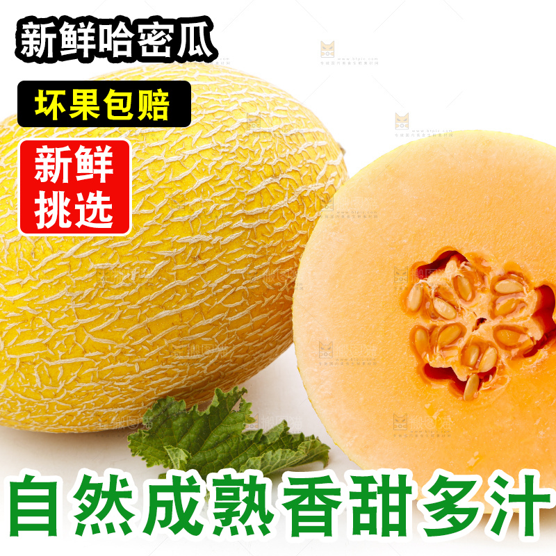 白底上摆放着黄皮蜜瓜