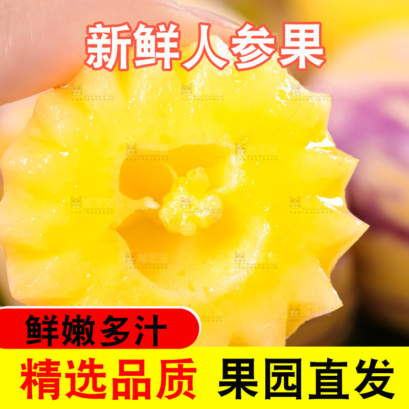 手里拿着黄心人参果