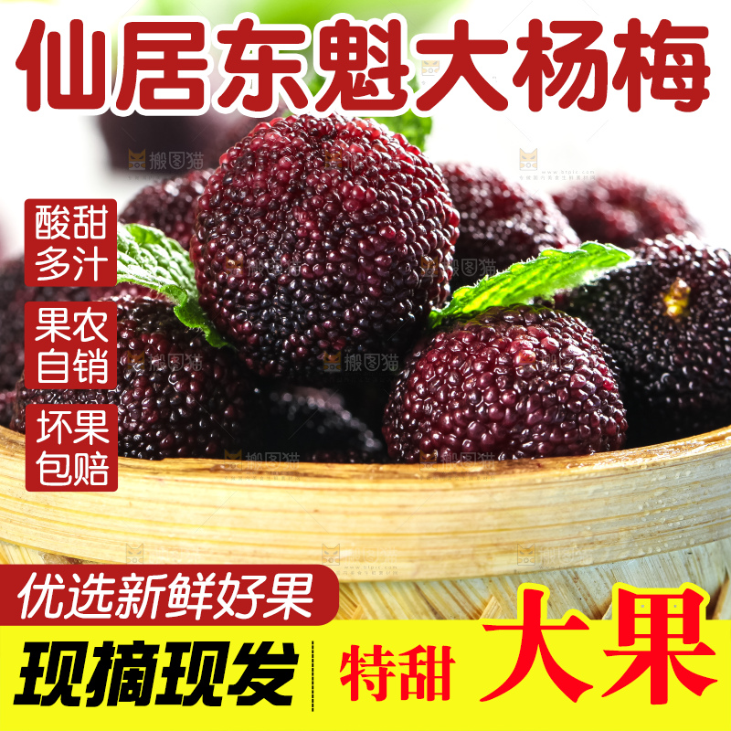 篮子里装着杨梅