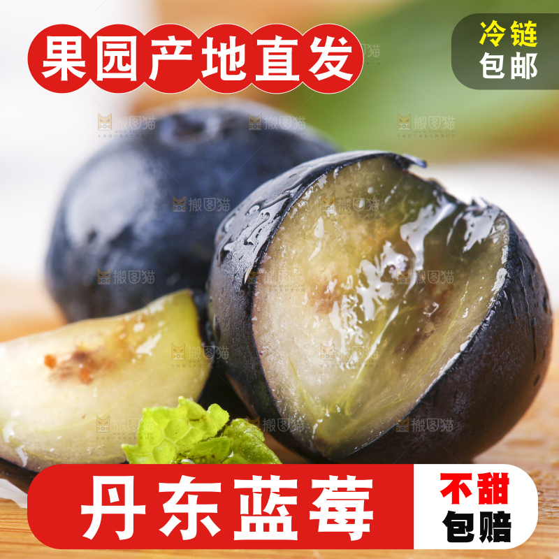 木板上摆放着高山蓝莓
