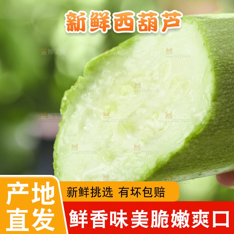 手里拿着嫩茭瓜