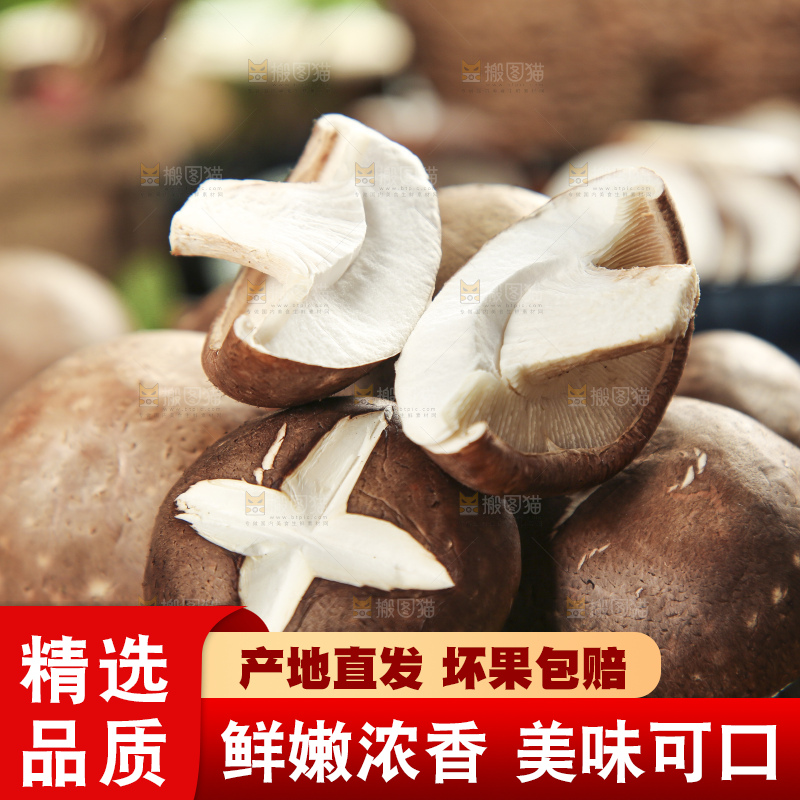 木底上摆放着湖北香菇