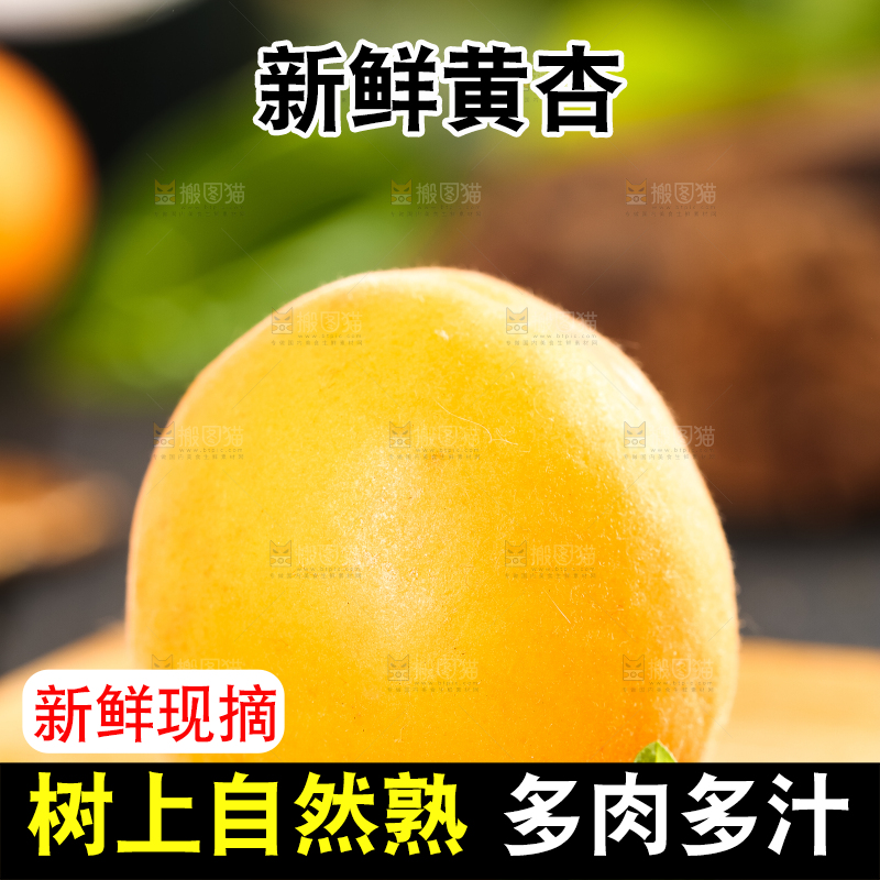 木底上摆放着秦岭头茬大黄杏