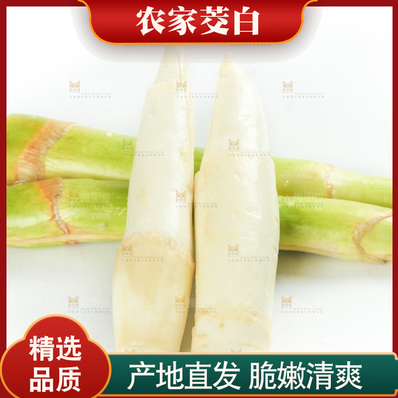 白底上摆放着茭笋