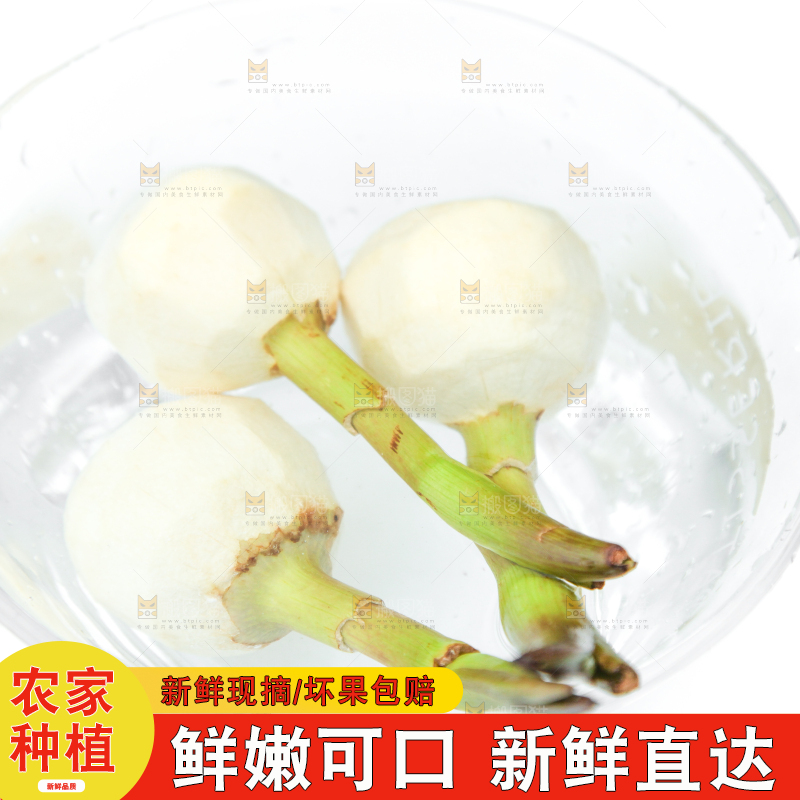 盆里放着茨菇