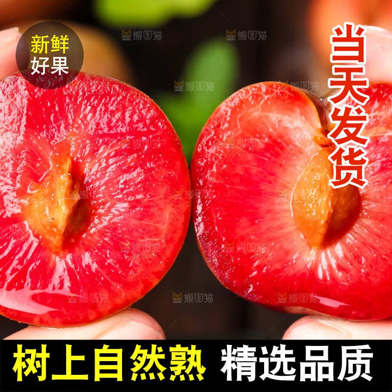手里拿着广西红心李子