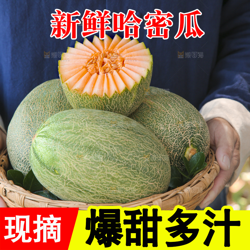 手里端着一篮网纹瓜