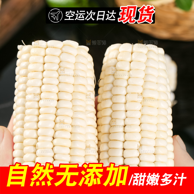 手里拿着甜玉米