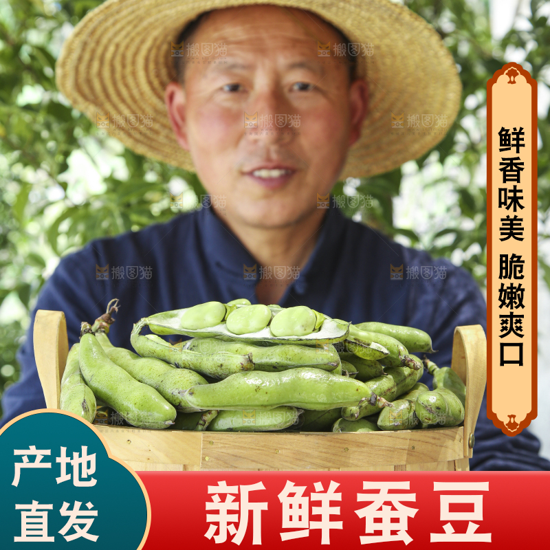 农民手里端着一篮青胡豆
