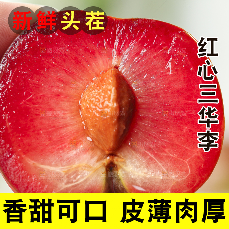 手里拿着红心三华李