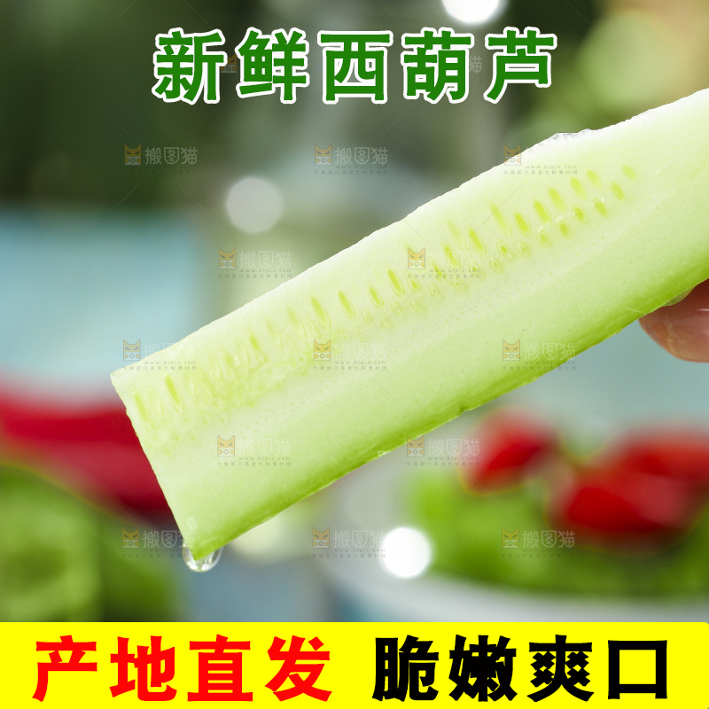 手里拿着嫩茭瓜
