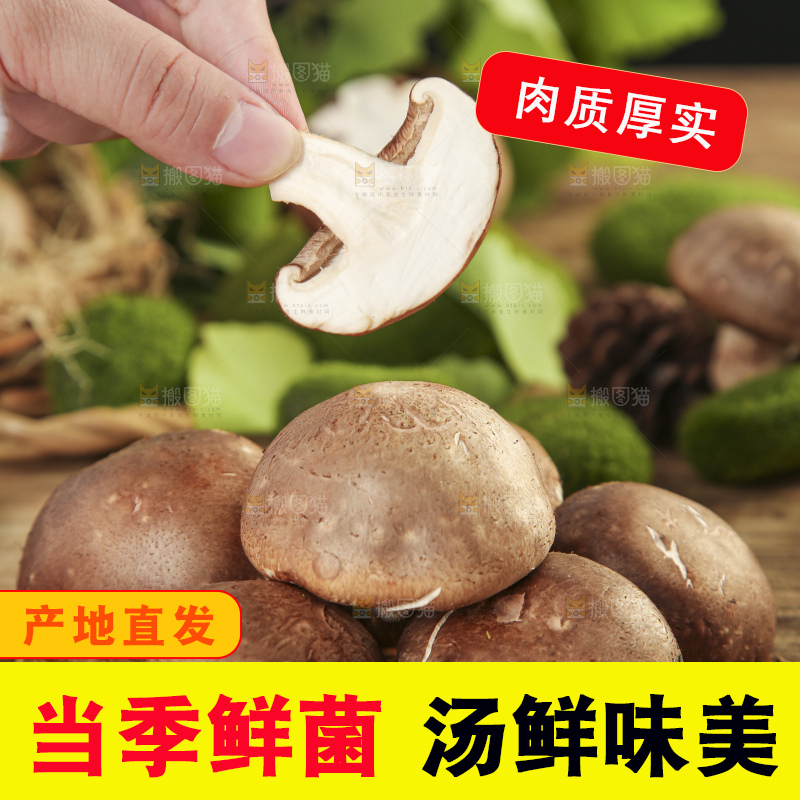 手里拿着香菇
