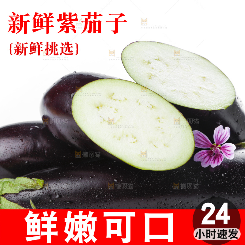 白底上摆放着紫茄子