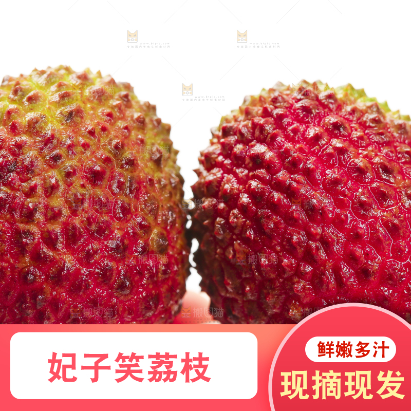 手里拿着新鲜妃子笑荔枝