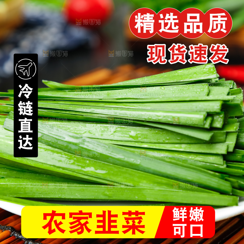 盘子里装着嫩韭菜