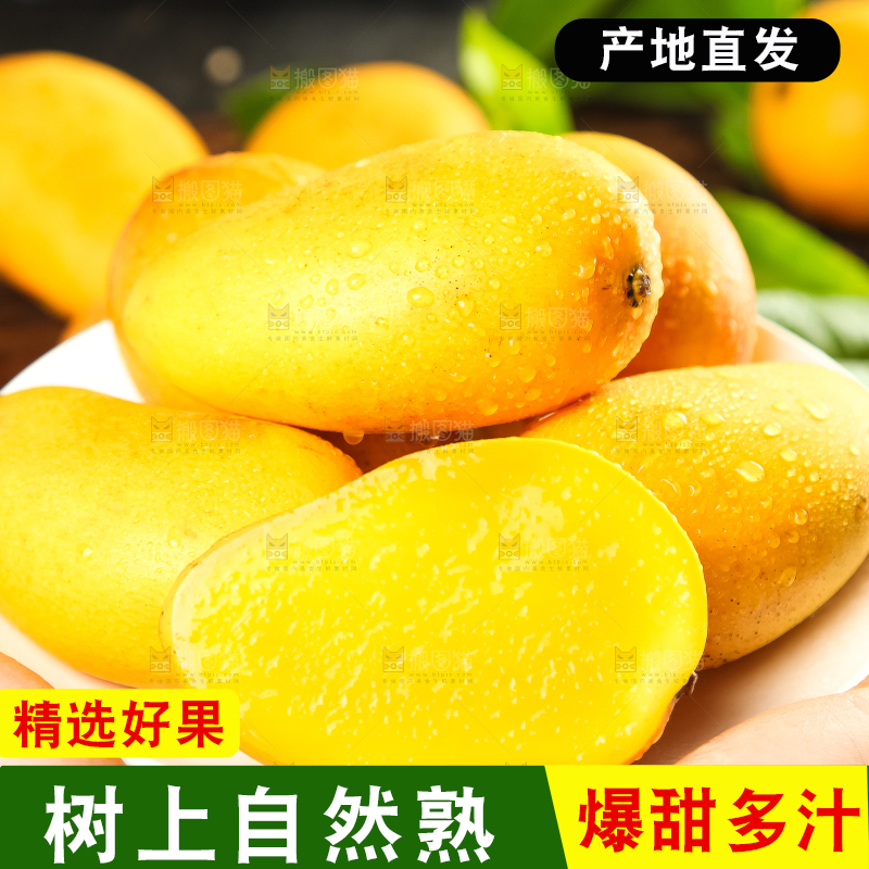 手里拿着台农芒果
