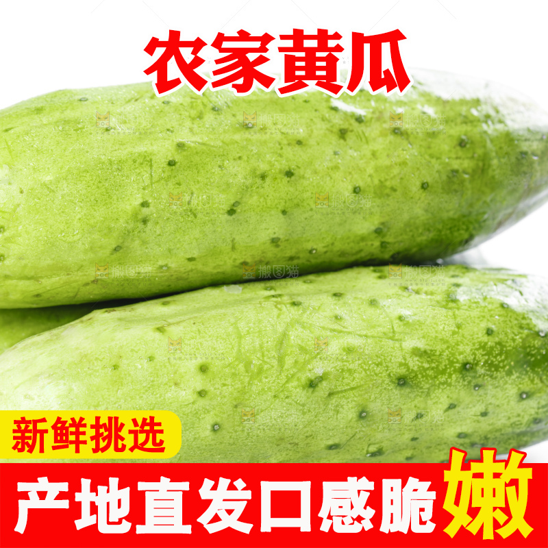 白底上放着刺黄瓜