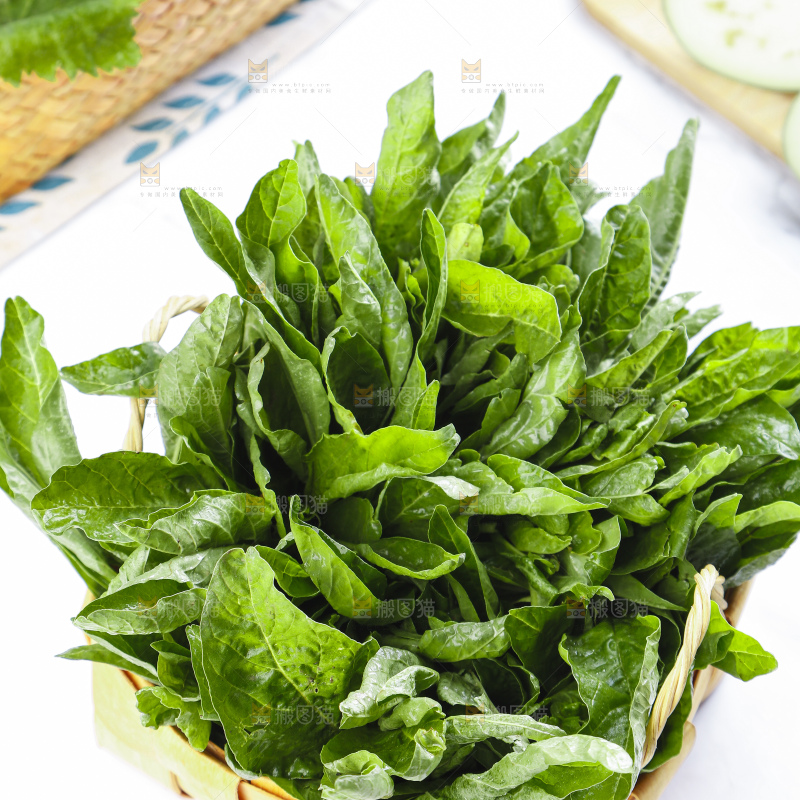 篮子里装着苋菜