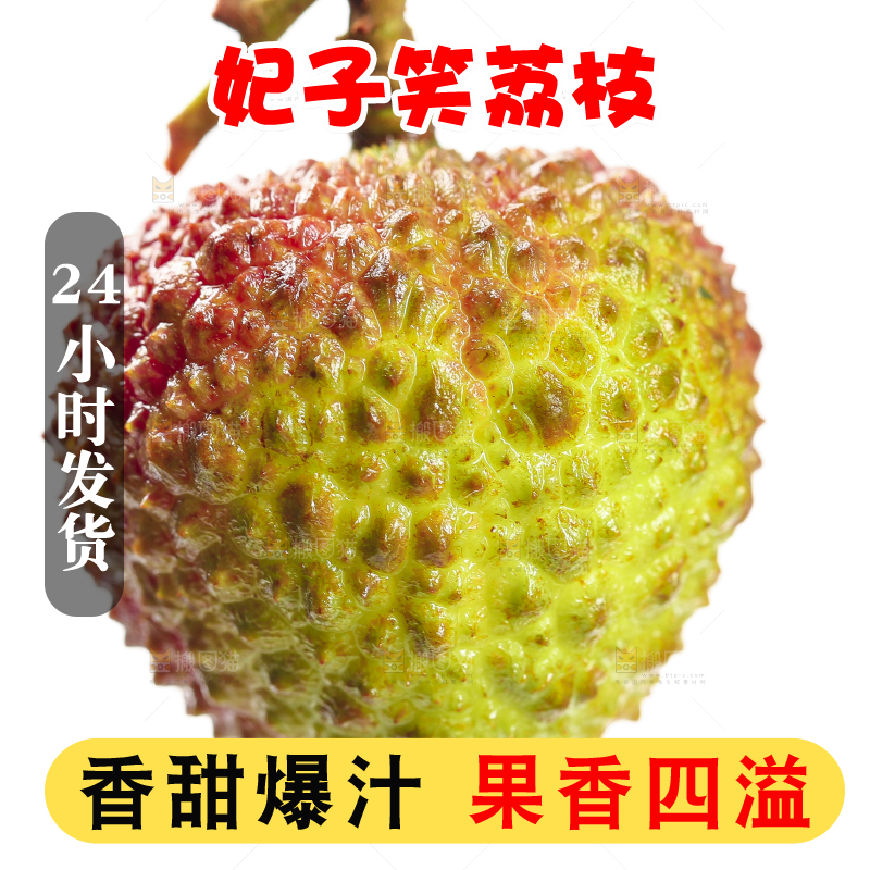 手里拿着新鲜妃子笑荔枝